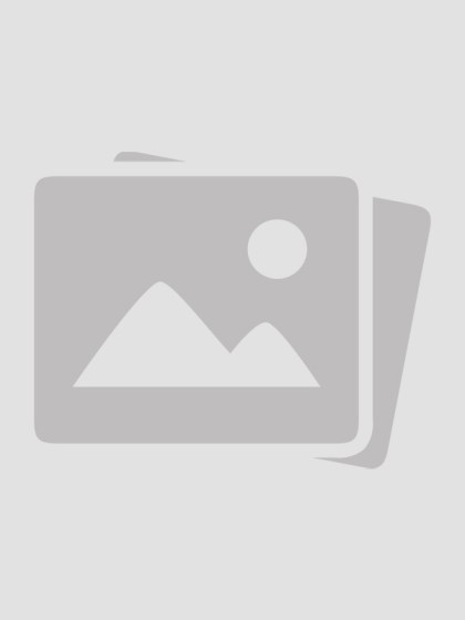 心隨落雪散作塵