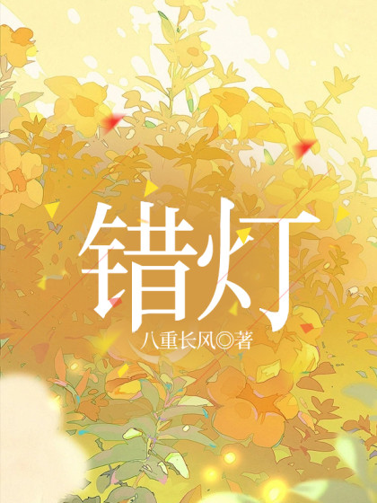 大结局小说《错灯》小说最新章节在线阅读