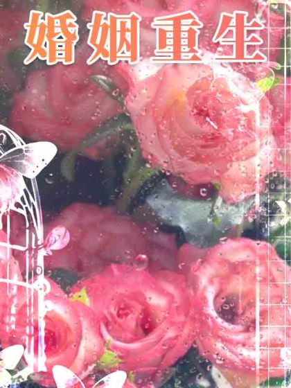 婚姻重生