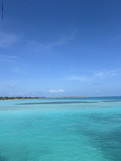 女兒被撞之後，丈夫卻陪肇事者在迪士尼圓夢