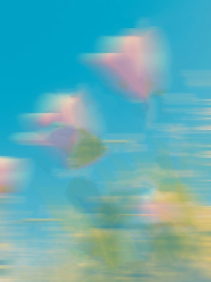 救下相府爹孃後，我選擇被他們逐出家門