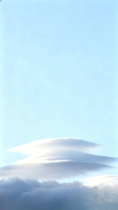 斷親後，讓我贖罪的媽媽悔瘋了