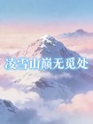 淩雪山巔無覓處