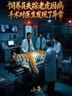 飼養員失蹤老虎因病手術時醫生髮現了異常