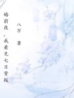 婚前夜，我看見七日背叛